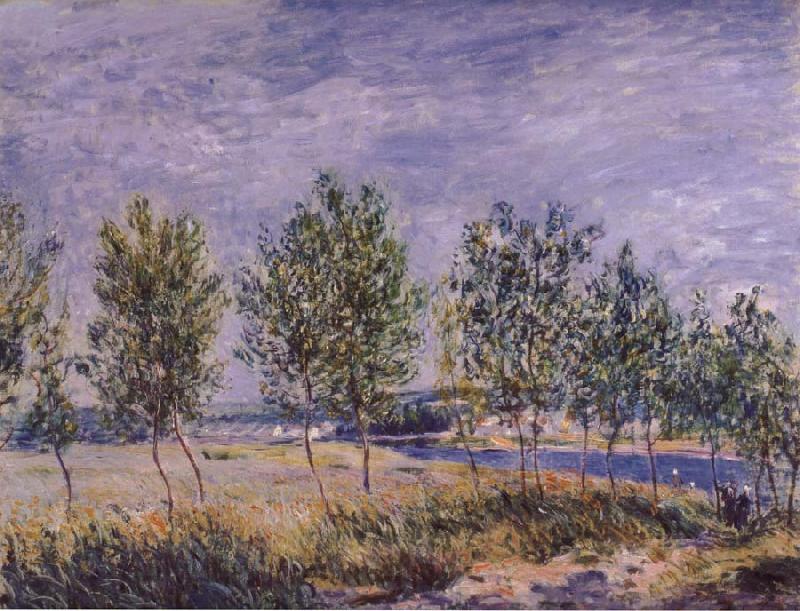 Claude Monet Poplars on a River Bank Germany oil painting art